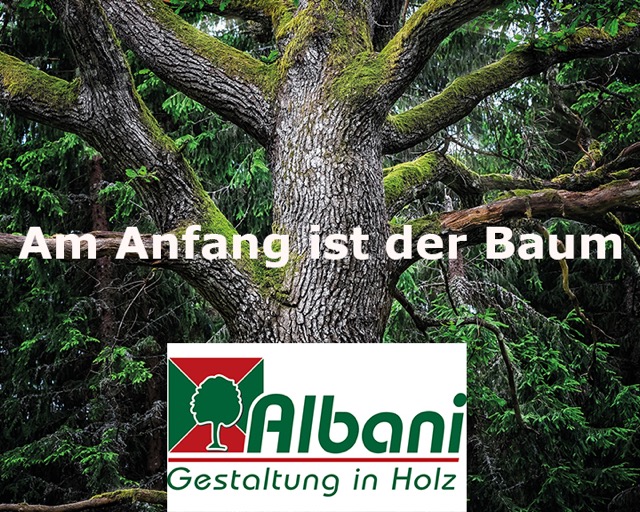 Am Anfang ist der Baum